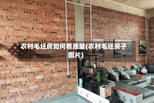 农村毛坯房如何看质量(农村毛坯房子图片)