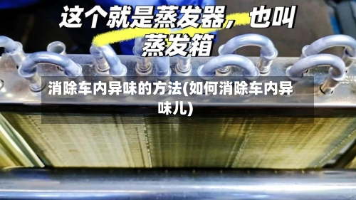 消除车内异味的方法(如何消除车内异味儿)