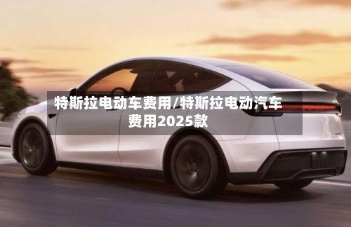 特斯拉电动车费用/特斯拉电动汽车费用2025款