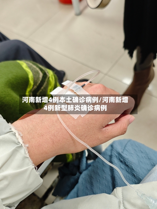 河南新增4例本土确诊病例/河南新增4例新型肺炎确诊病例