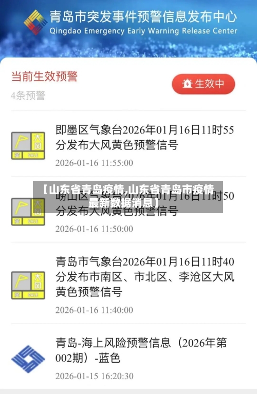 【山东省青岛疫情,山东省青岛市疫情最新数据消息】-第2张图片