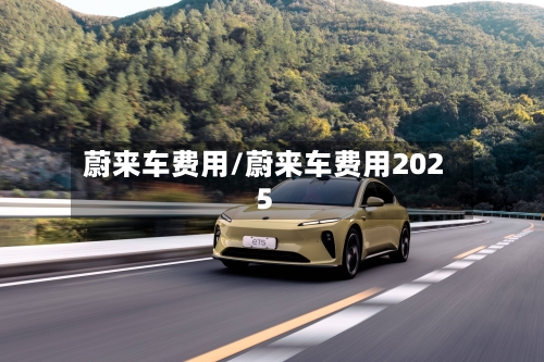 蔚来车费用/蔚来车费用2025