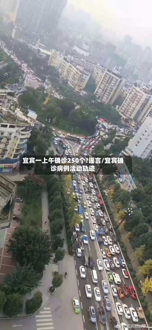 宜宾一上午确诊250个?谣言/宜宾确诊病例活动轨迹-第2张图片
