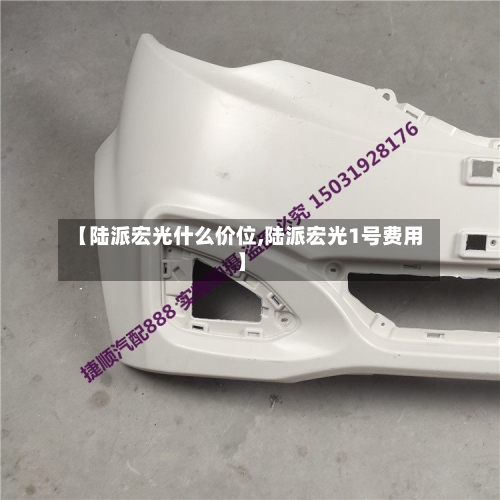 【陆派宏光什么价位,陆派宏光1号费用】-第2张图片