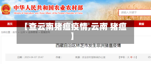 【查云南猪瘟疫情,云南 猪瘟】