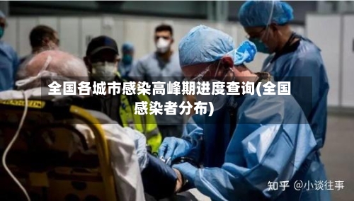 全国各城市感染高峰期进度查询(全国感染者分布)
