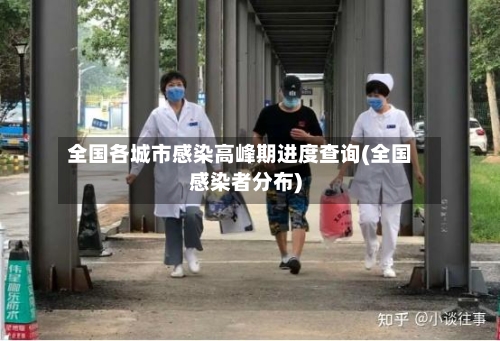 全国各城市感染高峰期进度查询(全国感染者分布)-第3张图片