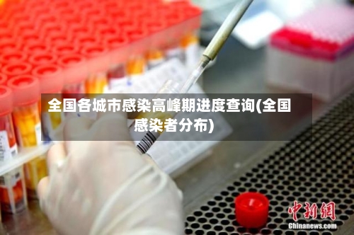全国各城市感染高峰期进度查询(全国感染者分布)-第2张图片
