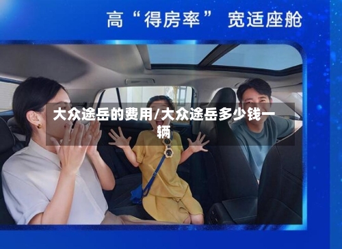 大众途岳的费用/大众途岳多少钱一辆
