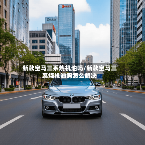 新款宝马三系烧机油吗/新款宝马三系烧机油吗怎么解决-第3张图片