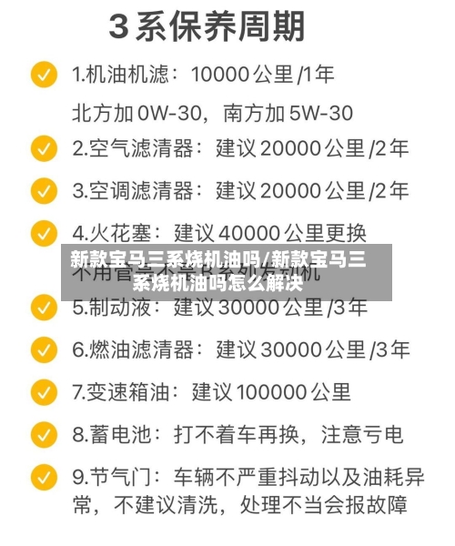 新款宝马三系烧机油吗/新款宝马三系烧机油吗怎么解决-第2张图片