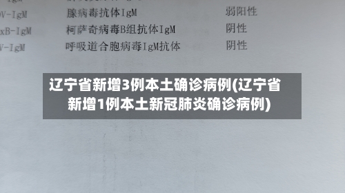辽宁省新增3例本土确诊病例(辽宁省新增1例本土新冠肺炎确诊病例)