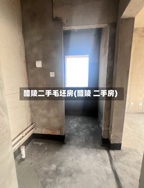 醴陵二手毛坯房(醴陵 二手房)