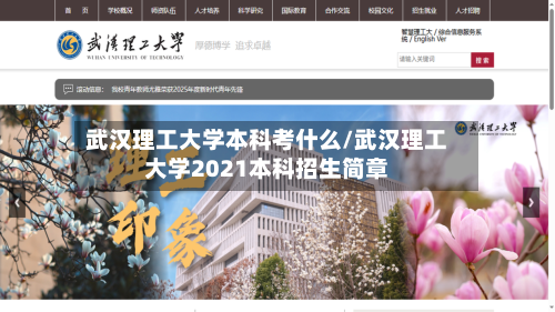 武汉理工大学本科考什么/武汉理工大学2021本科招生简章-第3张图片